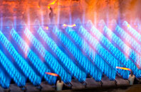 Egton gas fired boilers